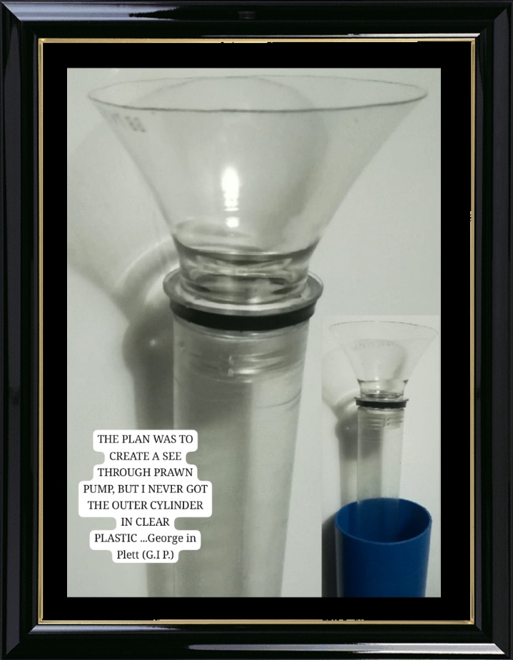 See-through prawn pump plan